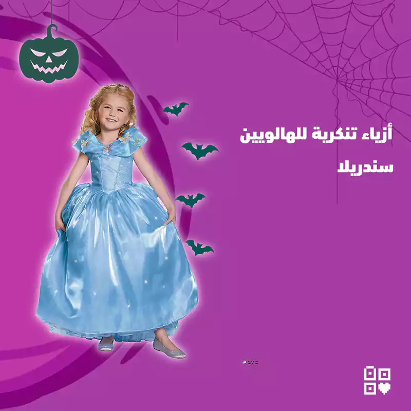 Cinderella Fancy Dress