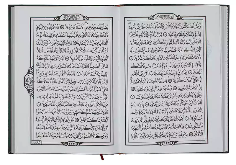 Berkween Qur’an white Shamali