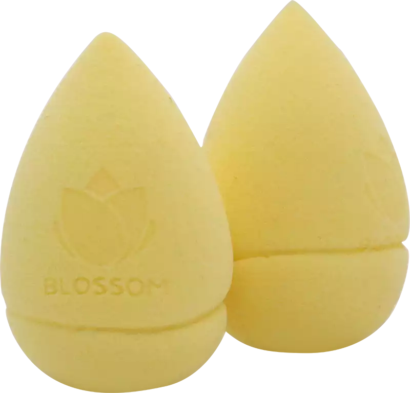 بيوتى بلندر من بلوسوم MS11