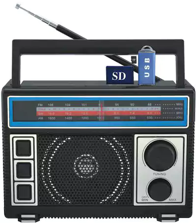 جهاز راديو صغير فيبي، كلاسيكي، FM\AM\SW، بطارية قابلة لإعادة الشحن، صوت عالي نقي، منفذ USB وكارت ميموري وسماعة رأس، أسود، FP-1367U