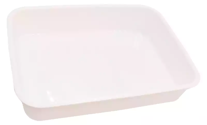 Lunch box + Spanish bottle