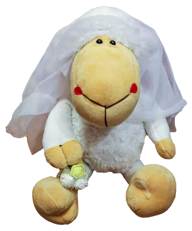 خروف العيد عروسة