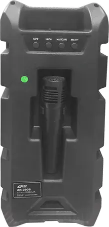 Subwoofer Speaker With MIC ZERO ZR-290S