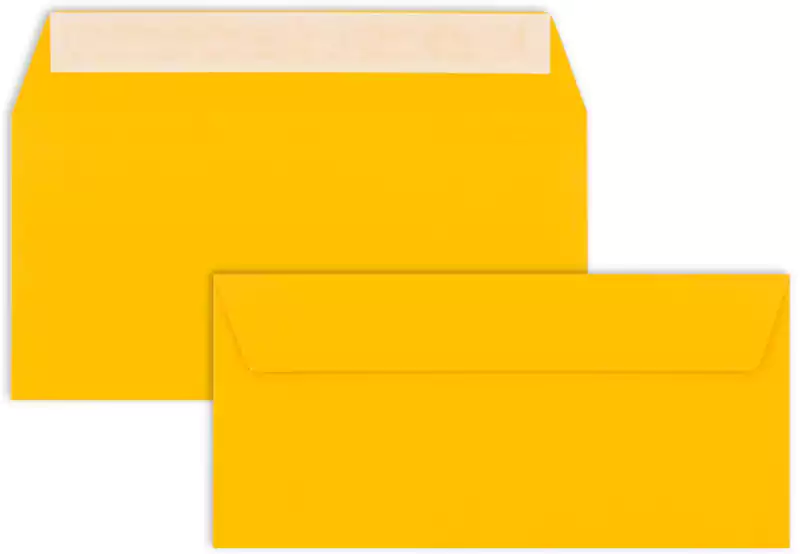 Envelope 11 x 22 cm DL100G, Multi Color