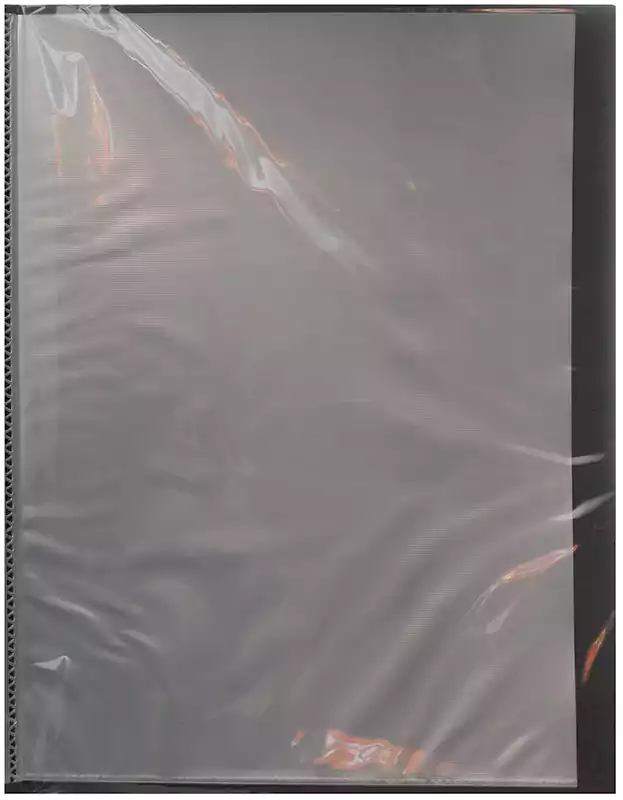 Hyunday A4 Pocket folder, 40 pockets, Multi colors, DG8340