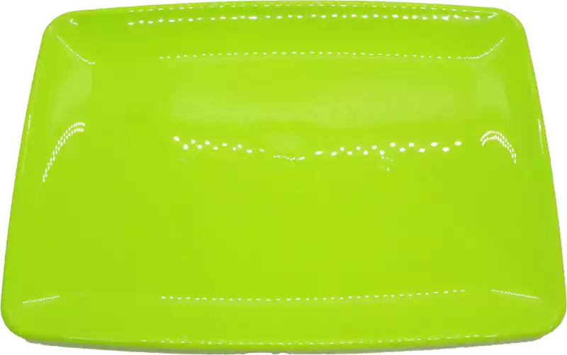 Mintra Color Rectangular Plastic Serving Dish
