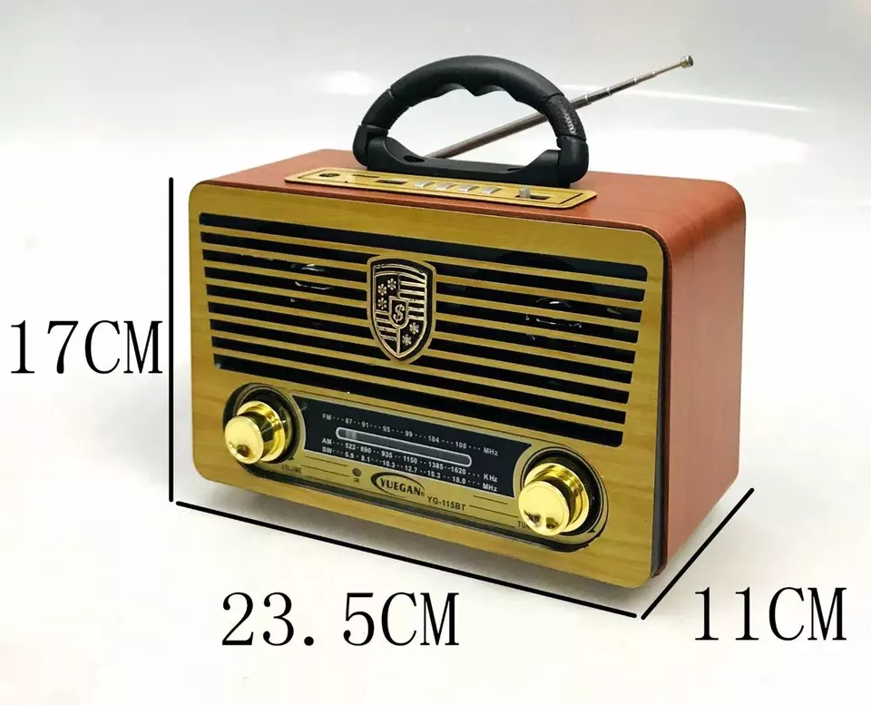 راديو محمول FM\AM\SW من ييجان، كلاسيك، بطارية قابلة لإعادة الشحن، صوت عالي نقي، منفذ USB وكارت ميموري وسماعة رأس، خشبي، YG-110BT