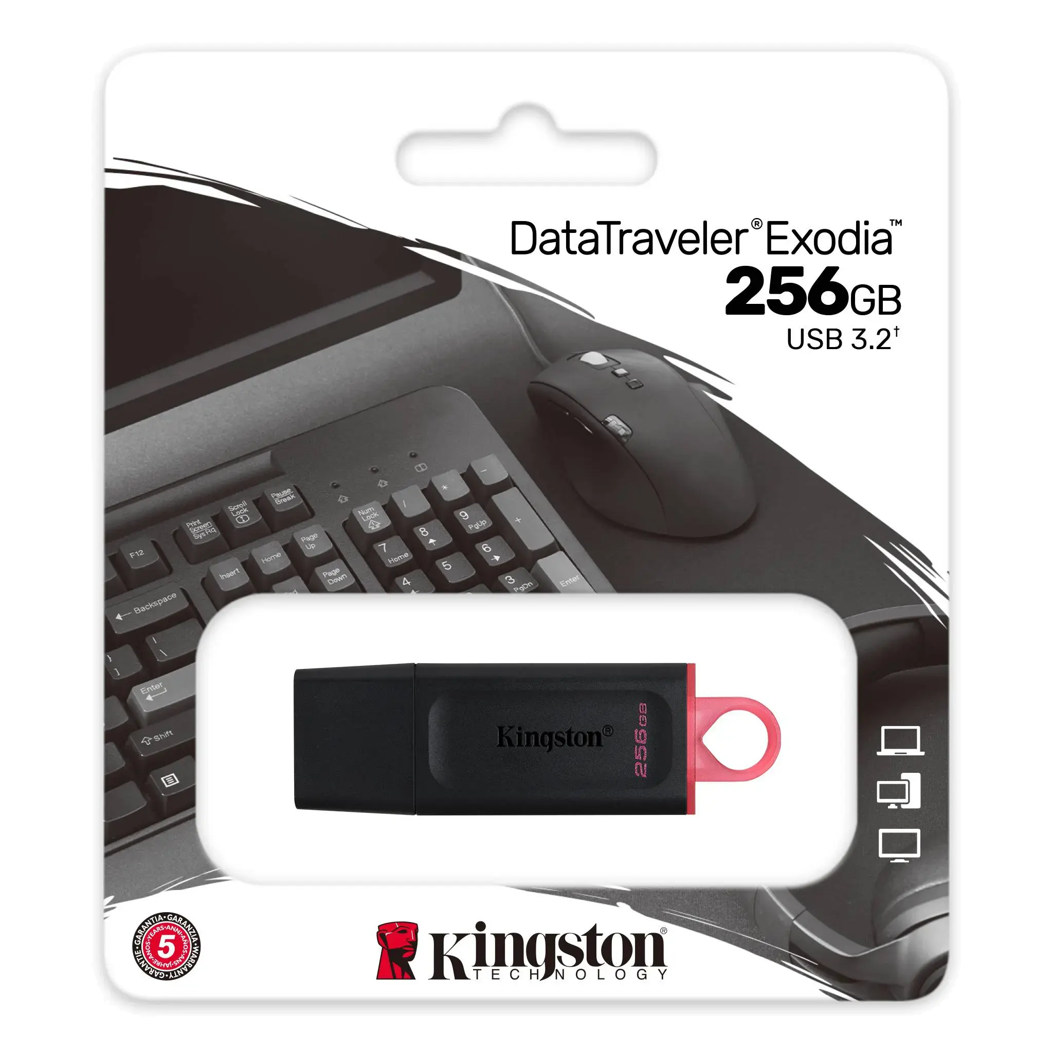 فلاش ميموري كينجستون Exodia، بسعة 256 جيجابايت، USB 3.2، أسود، DTX-256GB