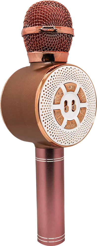 Wster Wireless Dynamic Handheld Microphone, Bluetooth, Bronze, WS-699