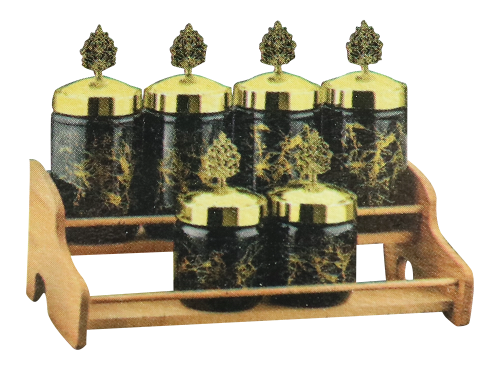 Spice Set 6-Piece , Black x Gold, ADN-050