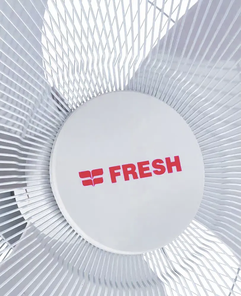 Fresh Wall Fan, 18 Inch, 3 Speeds, Gray