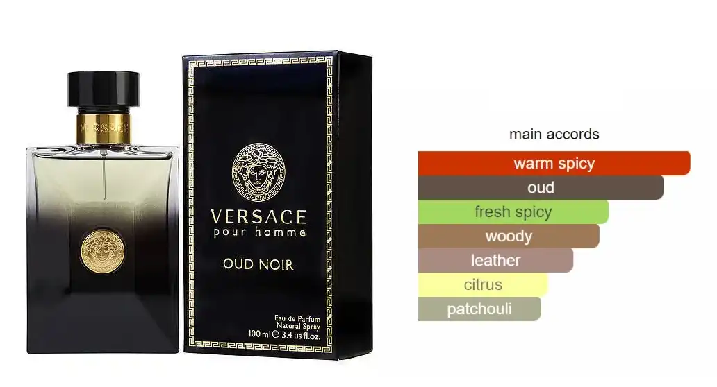 Oud Noir By Versace For Men EDP 100ML