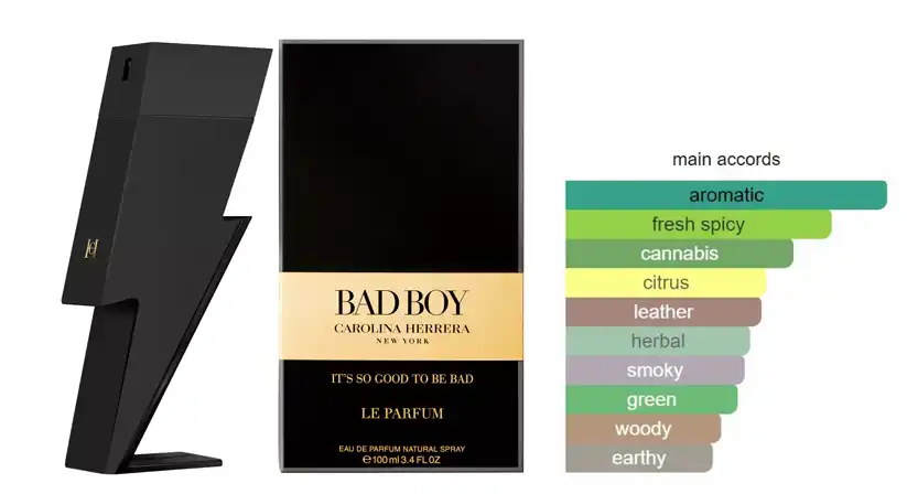 ‏ Bad Boy Le Parfum By Carolina Herrera For Men EDP 100ML