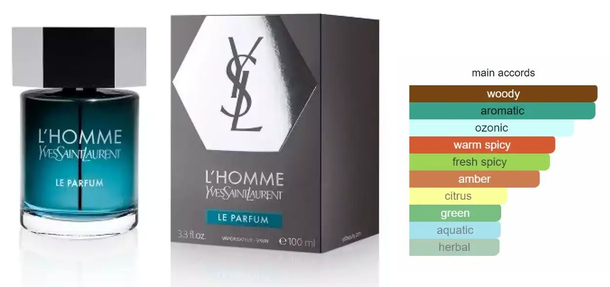 L'Homme By Yves Saint Laurent Perfume For Men 100ML