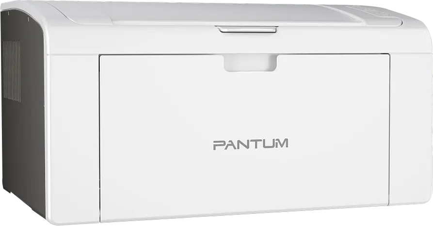 Pantum P2509W Laser Printer, Monochrome, WIFI