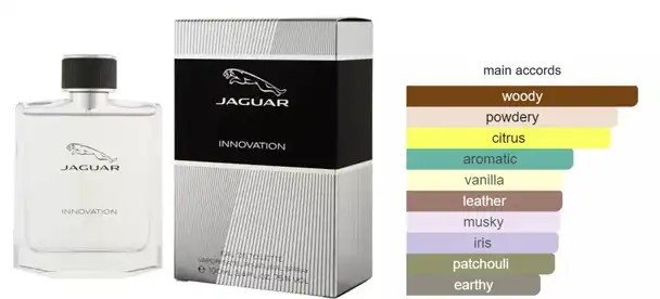 Jaguar Innovation For Men EDT 100ML