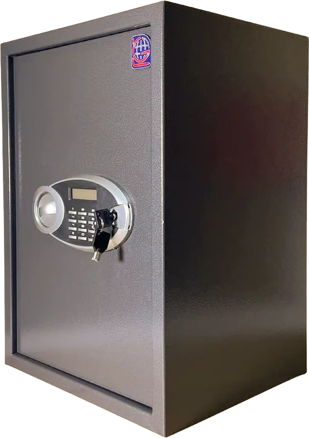 LG Safe, 2 Locks, Digital, Gray, 50EUD