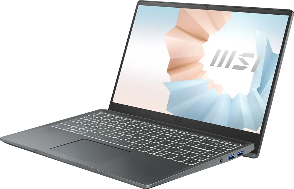 MSI Modern 14 Laptop 14 B5M-208XEG, AMD Ryzen™ 5 5500U, 8GB RAM, 256GB SSD , AMD Radeon™ Graphics, 14 Inch FHD, Dos, Gray