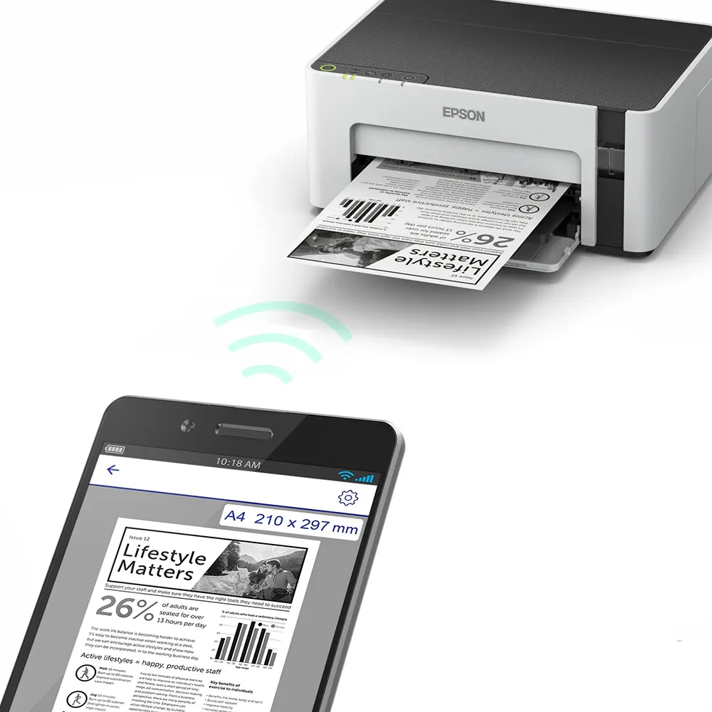 Epson EcoTank Printer, Monochrome, Wi-Fi, White, M1120