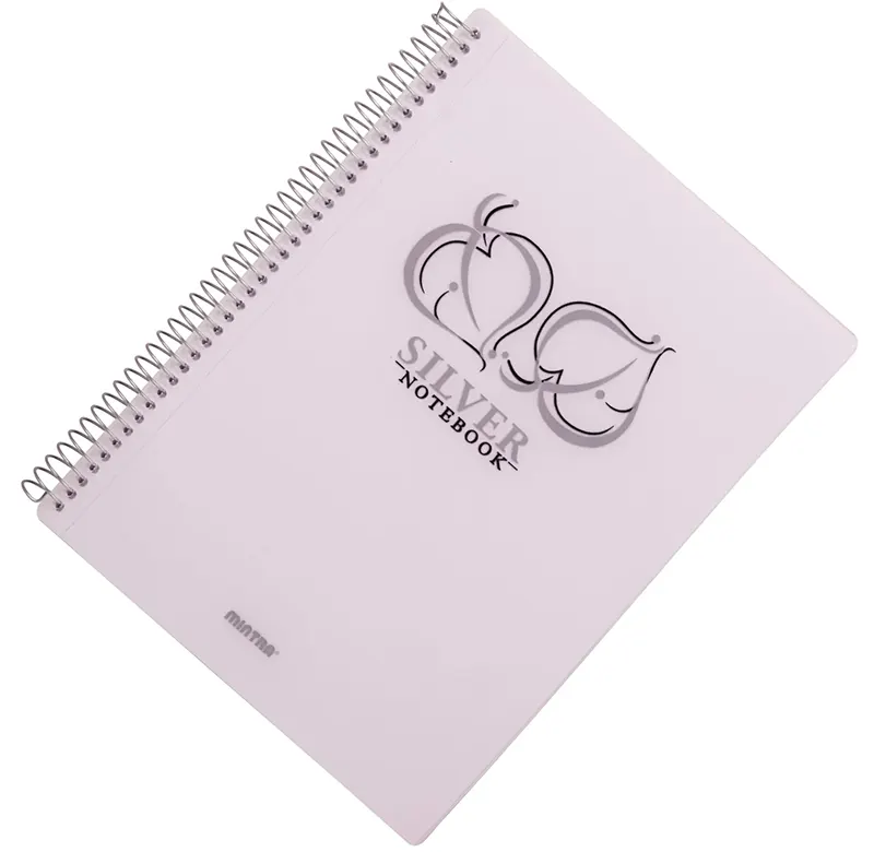 Mintra A5 Silver Spiral Notebook, 80 Sheets, Silver