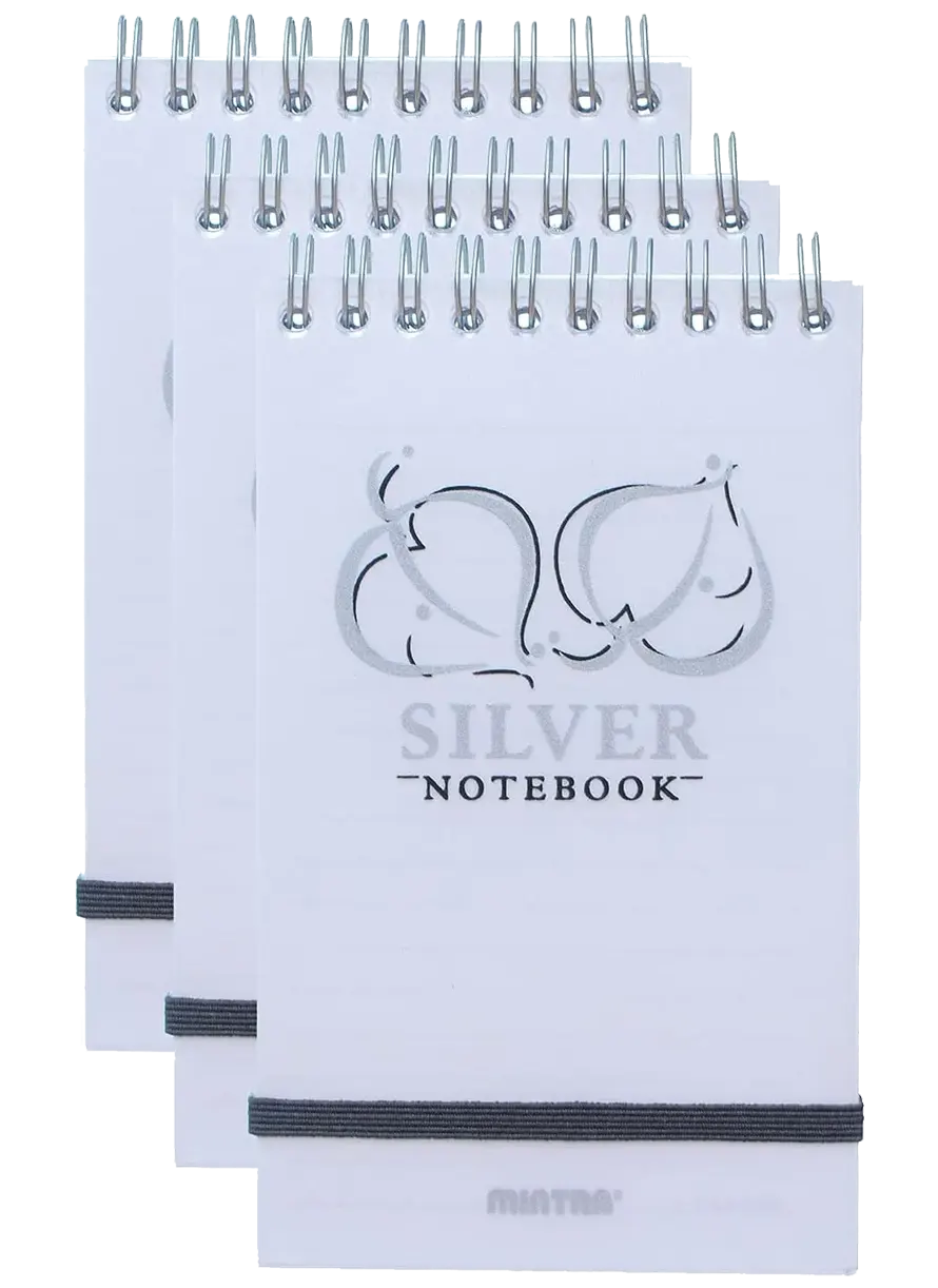 بلوك نوت سلفر جولد مينترا، 80 ورقة، 9x15 سم