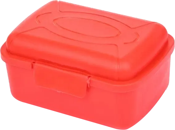 Mintra Lunch Box, Square, 400 Ml, Multi-Colored