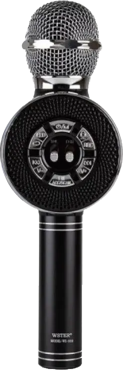 WSTER Karaoke Microphone, Rechargeable, Bluetooth, USB, FM Radio, Multiple Colors