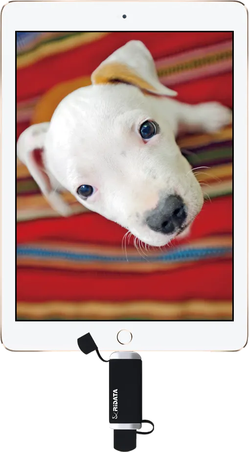 Ridata USB Flash Drive 64GB, OTG Output For Apple, iOS Certified, Black