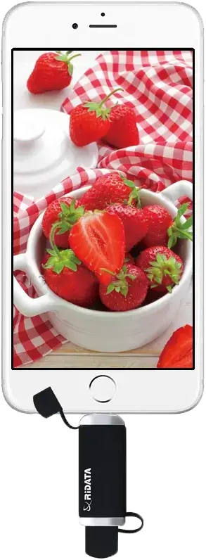 Ridata USB Flash Drive 64GB, OTG Output For Apple, iOS Certified, Black