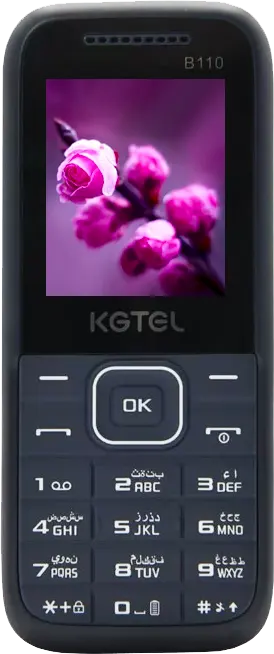 KGTEL B110 Mobile Phone, Dual SIM, 32 MB, 32 MB RAM, 2G, Black