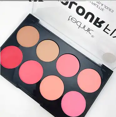 TECHNIC COLOUR FIX BLUSH PALETTE