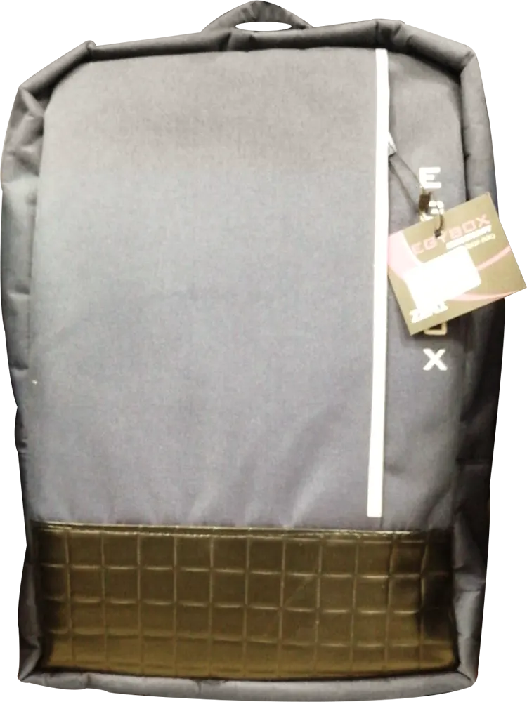Egybox ZIN 1 Laptop Backpack, 15.4 Inch, Nylon, Built In USB, 3 in 1, Multi Color