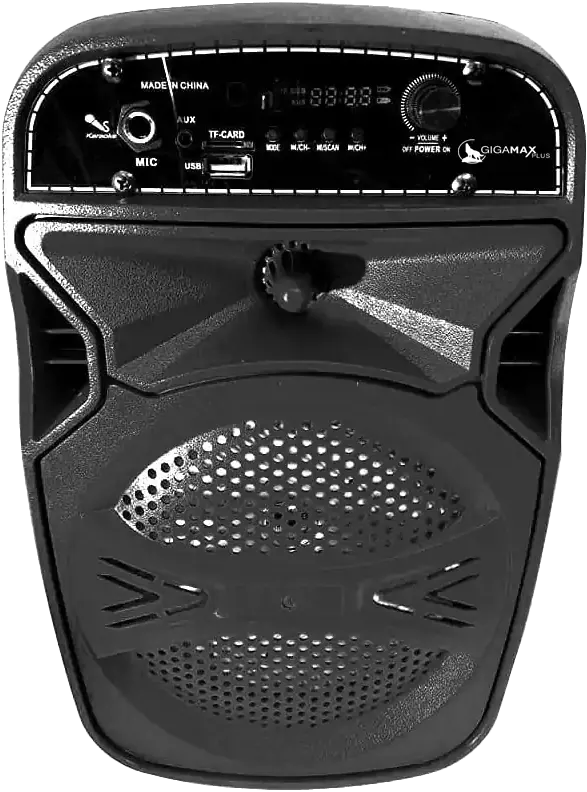 Gigamax  Subwoofer Wireless Speaker, Bluetooth 5.0, Black, GM-11