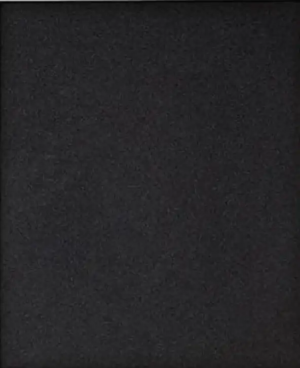 Bosch Duco Sanding Sheet ,Size 80 , 621 528