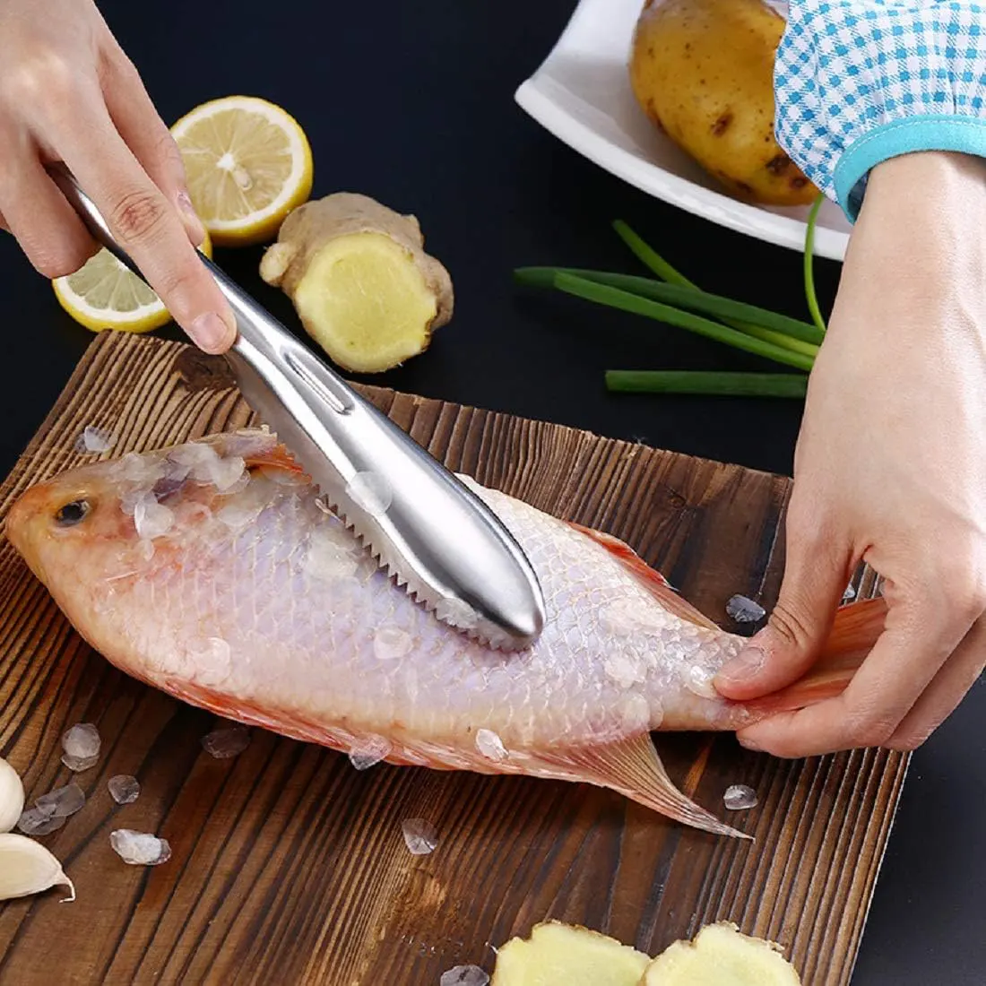 Stainless fish scaler