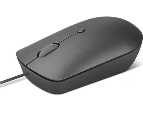 Lenovo Compact Wired Mouse 540, USB-C, Storm Gray (With Raya Warranty)
