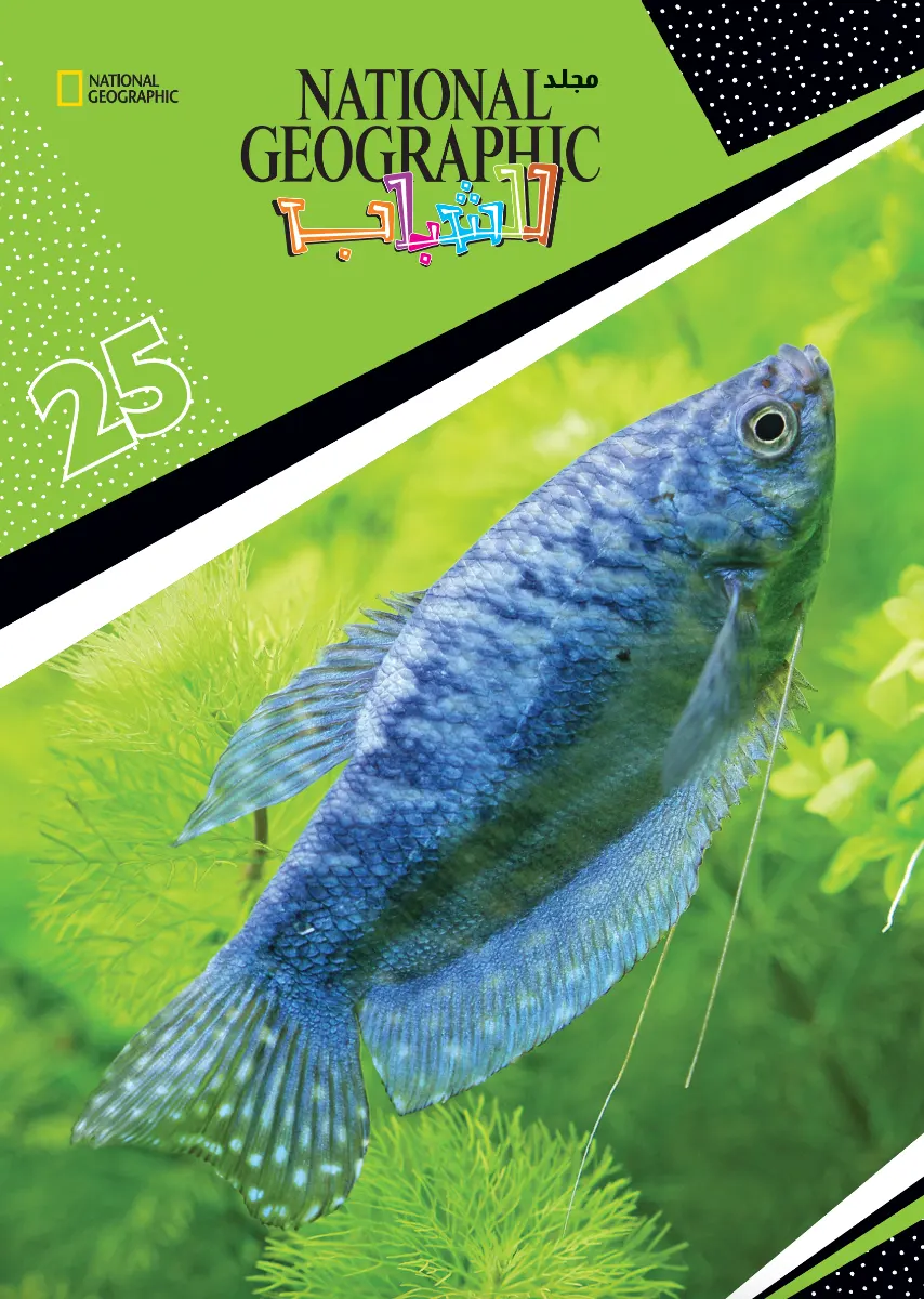 National Geographic Volume 25