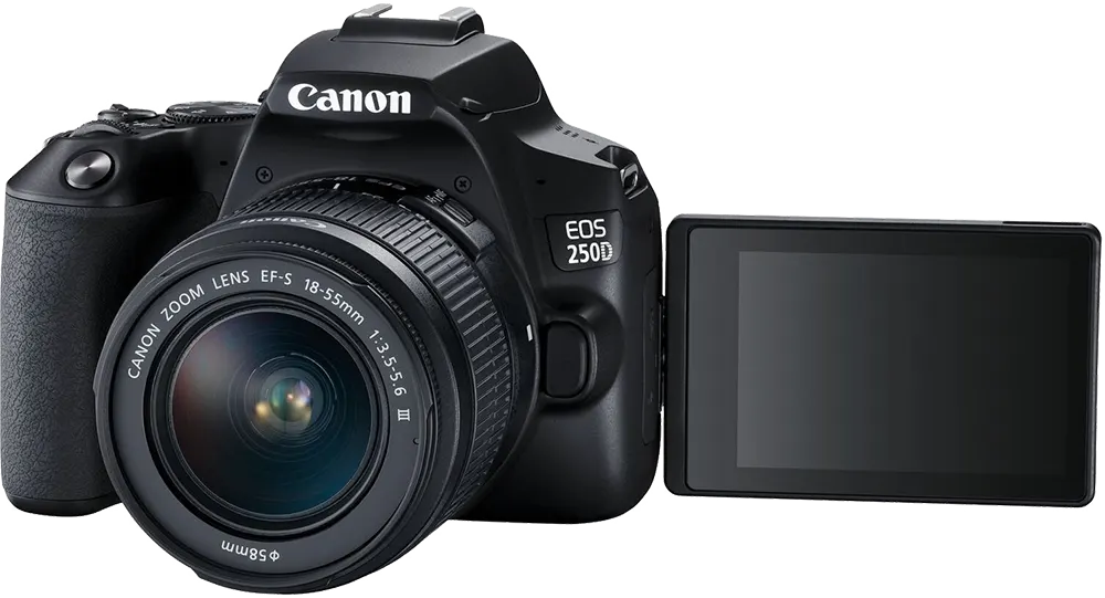 كانون كاميرا رقمية اي او اس 250D، عدسة 18- 55 ملم، 24.1 ميجابكسل، اسود