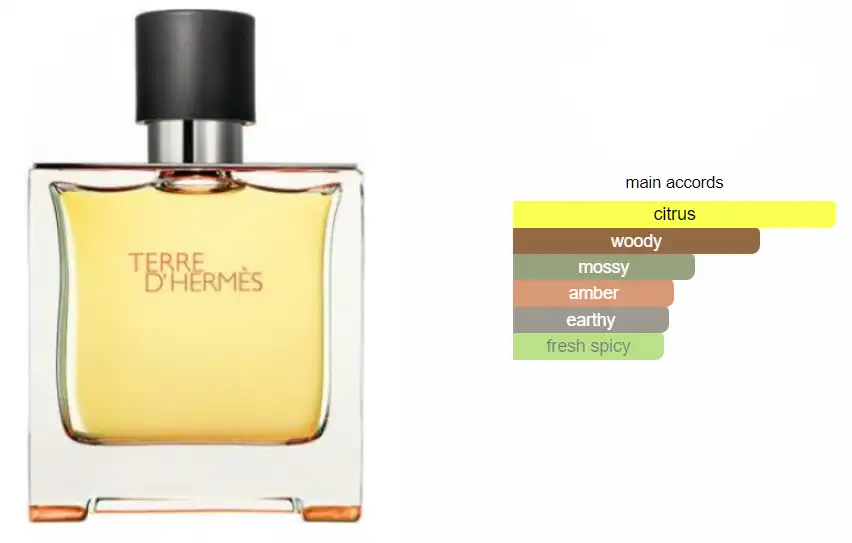 Terre d'Hermes By Hermès For Men Parfum 75 ml
