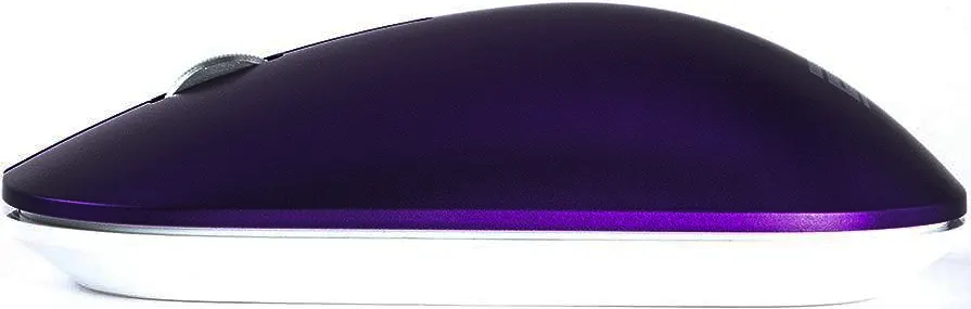 2B Wireless Mouse, 2.4 GHz, 4000 dpi, Silver-Purple, MO878