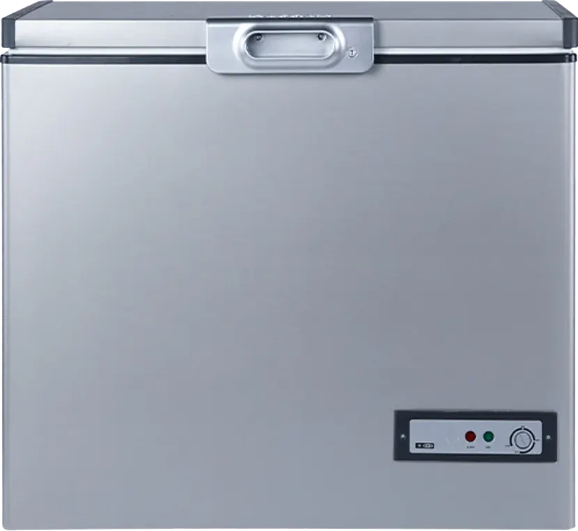 Passap Defrost Chest Freezer, 250 Liters, Interior Steel , Silver, ES335