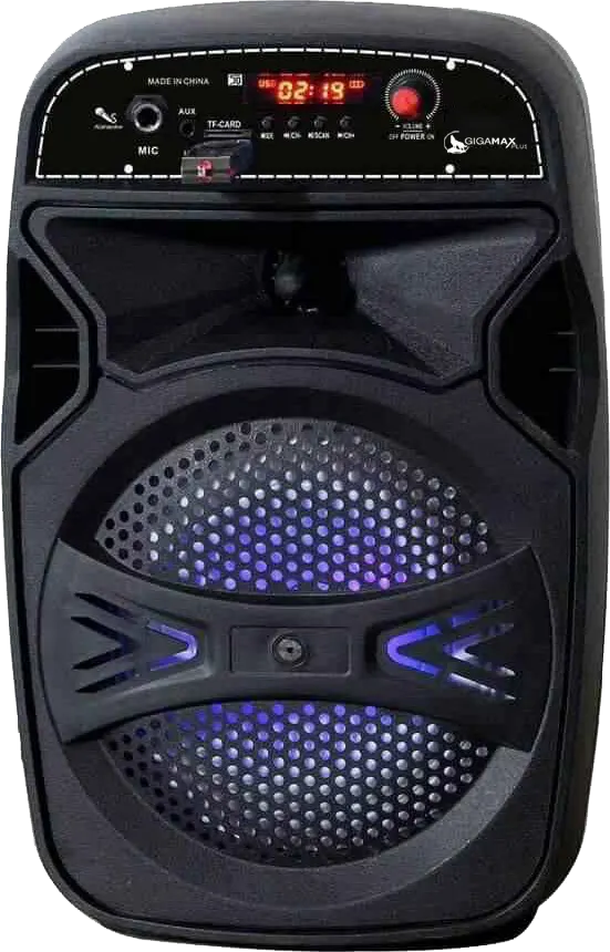 Gigamax Subwoofer Speaker, Bluetooth 5.0, USB, Black, G-11