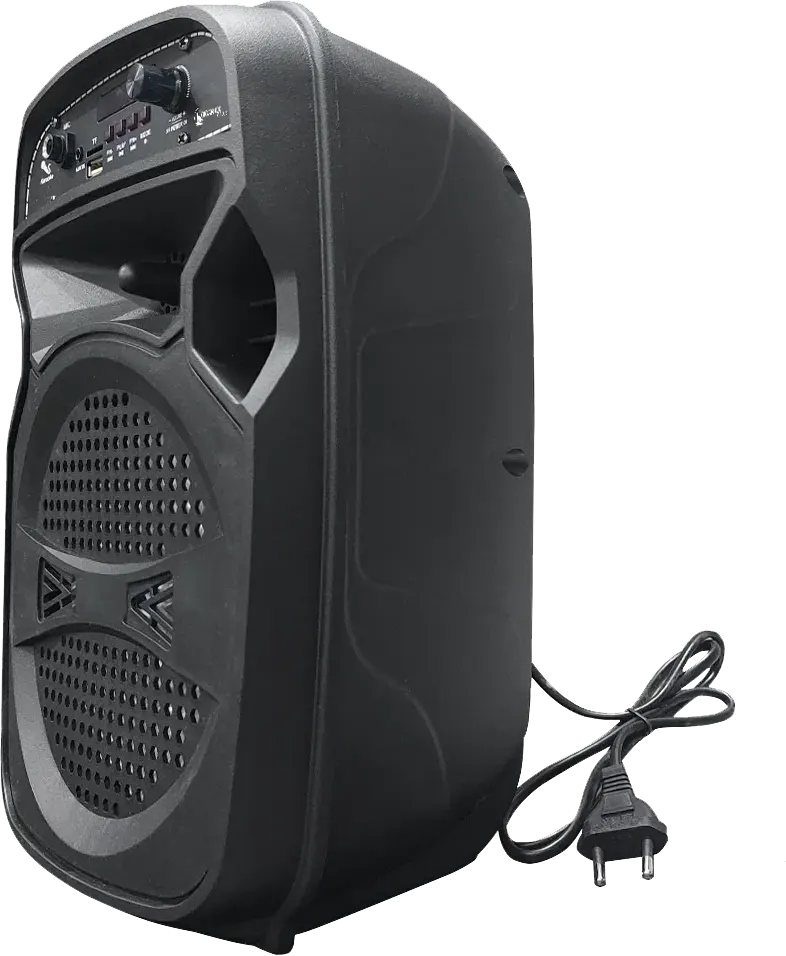 Gigamax Subwoofer Speaker, Bluetooth 5.0, USB, Black, G-11