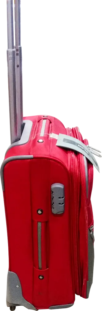 Travel Bag With Pin In Multiple Colors, 20 Inch