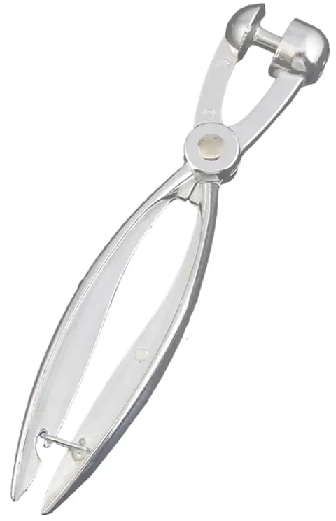 Stainless Steel Olive Seeder, Silver
