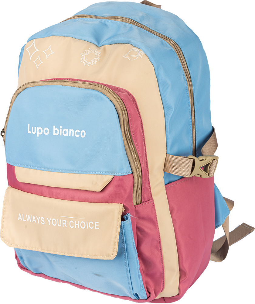 Bianco Casual School Bag for Girls , Multicolor