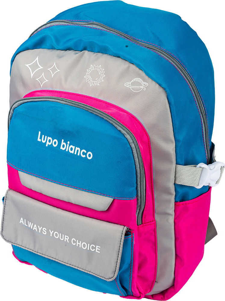 Bianco Casual School Bag for Girls , Multicolor