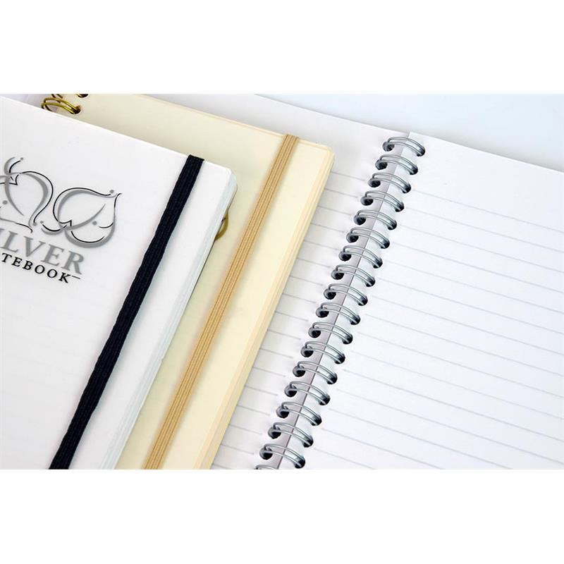 Mintra Gold Silver A6 notebook