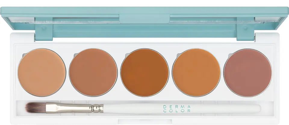 KRYOLAN DERMA COLOR CAMOUFLAGE CREAM 5C PALETTE, DQ2