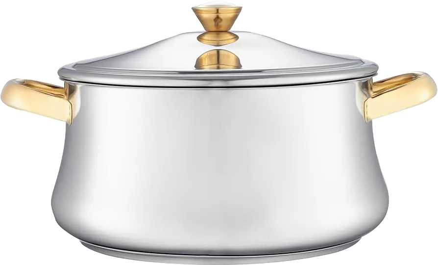 Zahran Stainless Steel Pot, Size 28, With Golden-Silver Handle